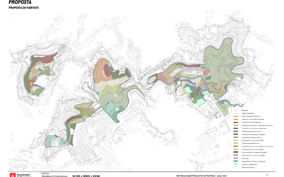 Estructura bàsica de camins i anelles del Parc dels Tres Turons (Barcelona)