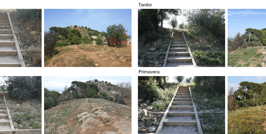 L’evolució del Turó de Can Bech